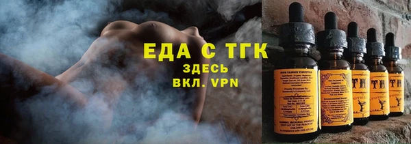 шишки Инта