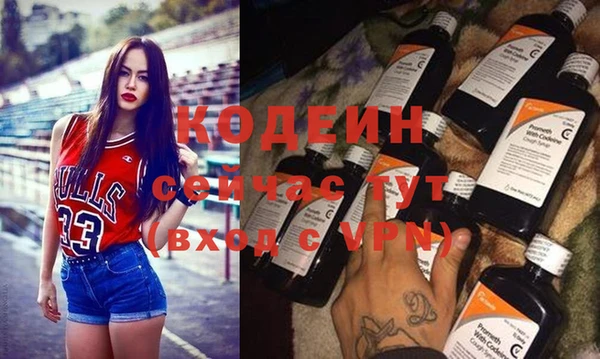 шишки Инта
