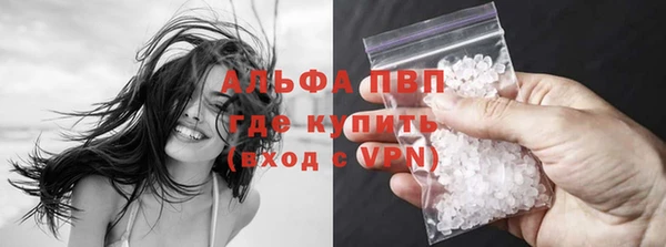 шишки Инта