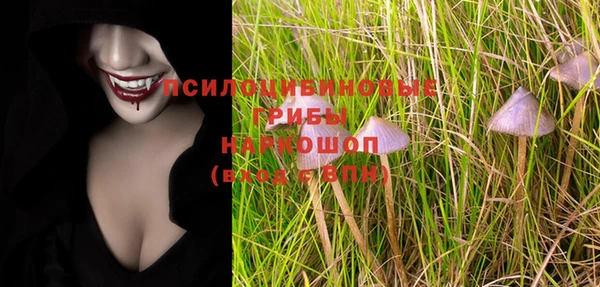 шишки Инта
