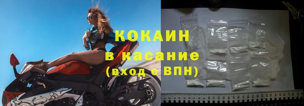 шишки Инта