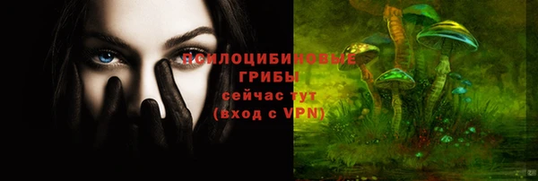 шишки Инта