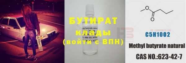 шишки Инта