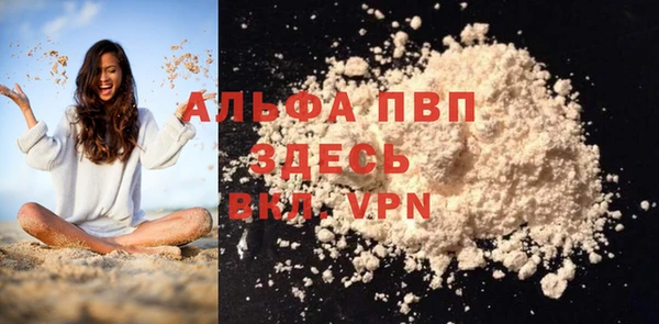 шишки Инта