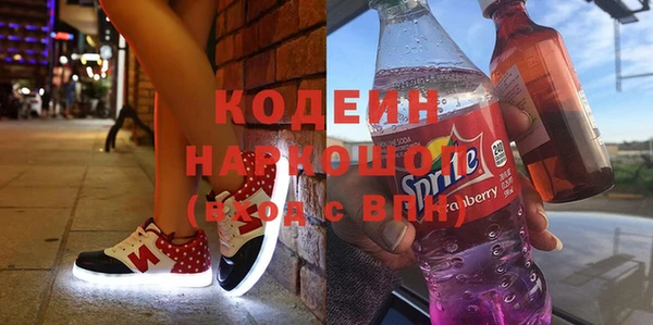шишки Инта