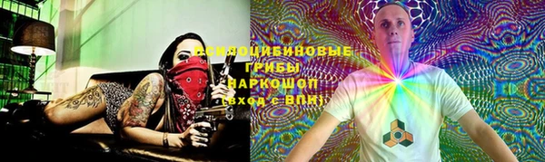 гидропоника Инсар