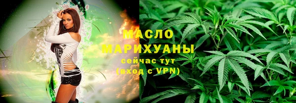 шишки Инта