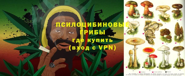 соль ск Иннополис