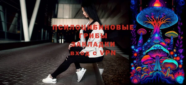 шишки Инта