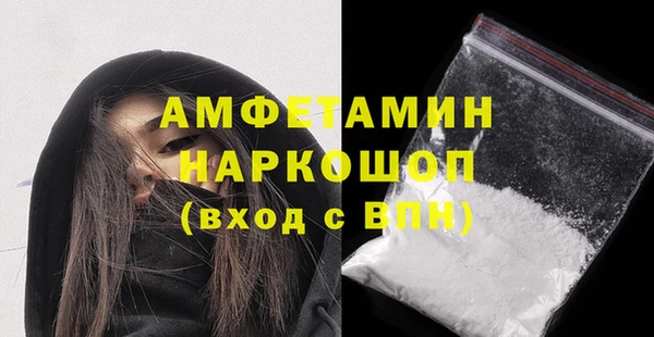 шишки Инта