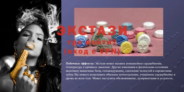 шишки Инта