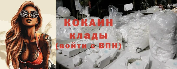 шишки Инта