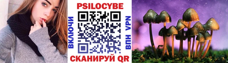 Купить  Кирово-Чепецк  Галлюциногенные грибы Psilocybe 