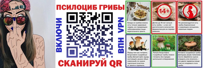 Псилоцибиновые грибы Cubensis Кирово-Чепецк