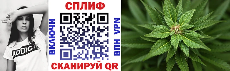 Купить  Кирово-Чепецк  Каннабис ГИДРОПОН 